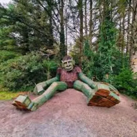 Dom wakacyjny Lackenagh House *